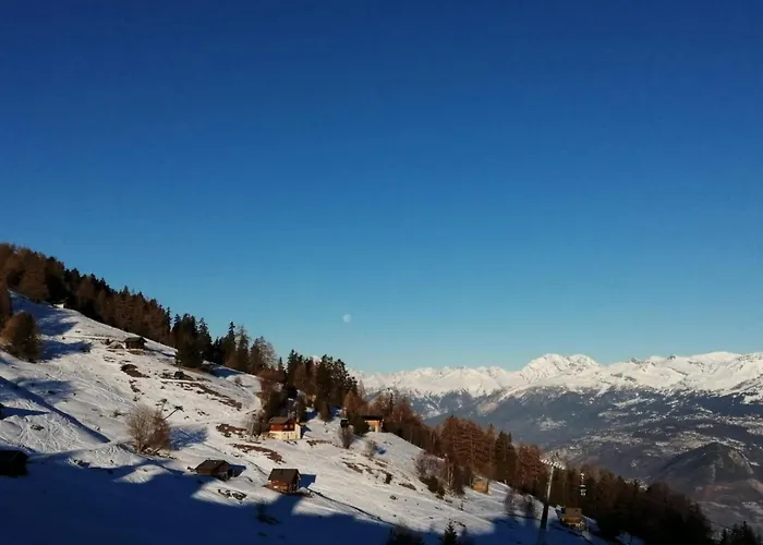 In Nendaz Near Lift * 维松纳